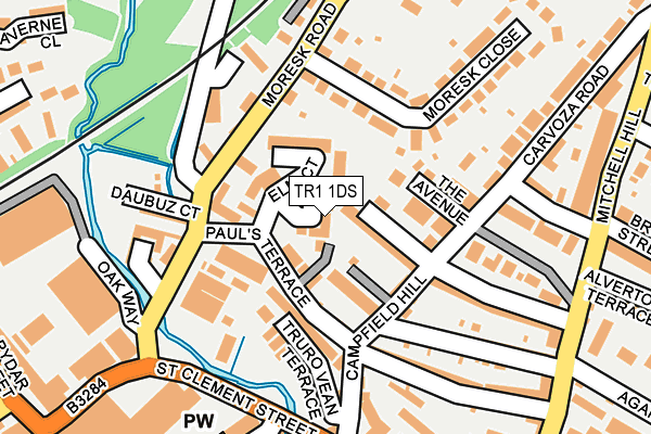 TR1 1DS map - OS OpenMap – Local (Ordnance Survey)