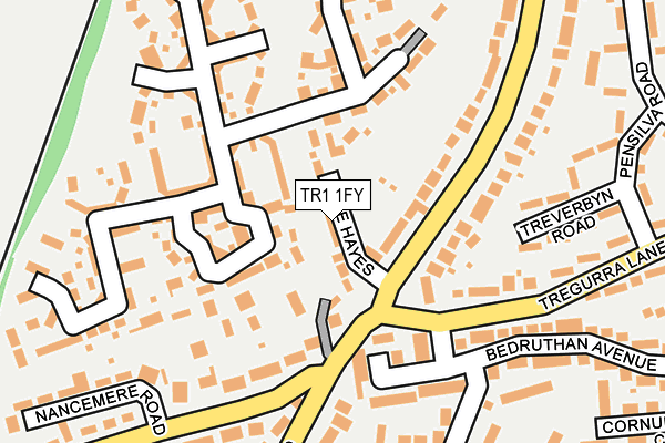 TR1 1FY map - OS OpenMap – Local (Ordnance Survey)