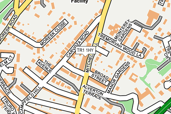 TR1 1HY map - OS OpenMap – Local (Ordnance Survey)