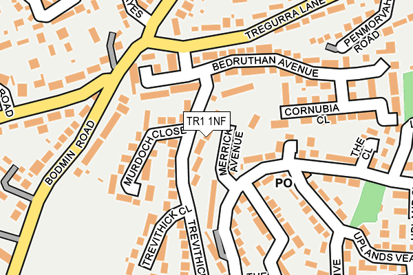 TR1 1NF map - OS OpenMap – Local (Ordnance Survey)