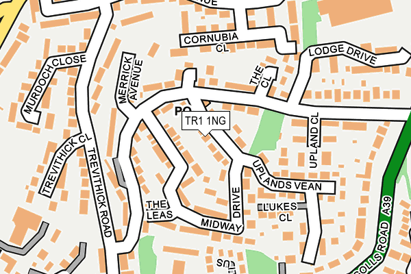 TR1 1NG map - OS OpenMap – Local (Ordnance Survey)