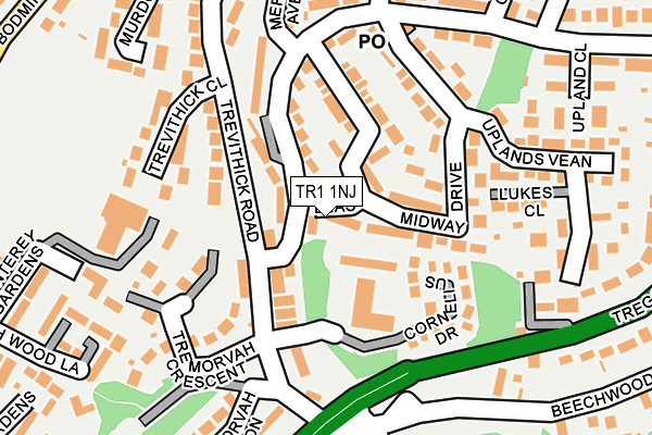 TR1 1NJ map - OS OpenMap – Local (Ordnance Survey)