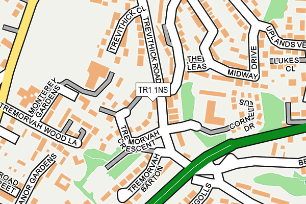 TR1 1NS map - OS OpenMap – Local (Ordnance Survey)