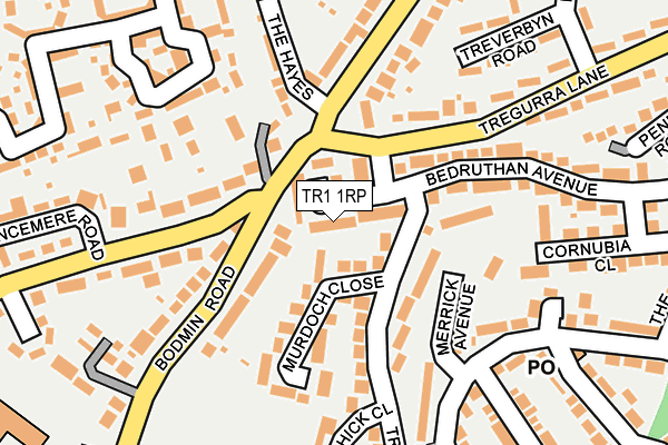TR1 1RP map - OS OpenMap – Local (Ordnance Survey)