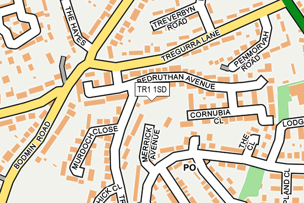 TR1 1SD map - OS OpenMap – Local (Ordnance Survey)