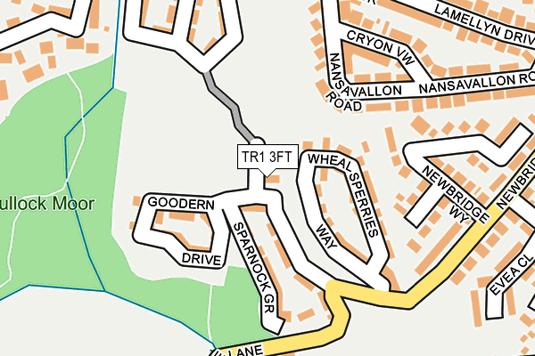 TR1 3FT map - OS OpenMap – Local (Ordnance Survey)