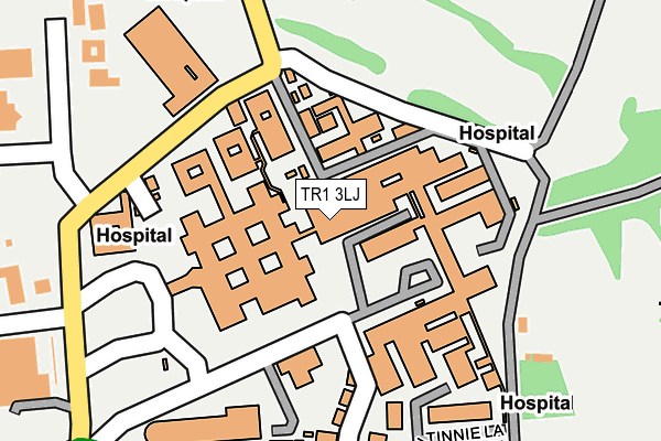 TR1 3LJ map - OS OpenMap – Local (Ordnance Survey)