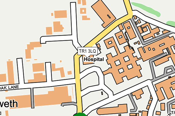 TR1 3LQ map - OS OpenMap – Local (Ordnance Survey)