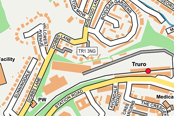 TR1 3NG map - OS OpenMap – Local (Ordnance Survey)