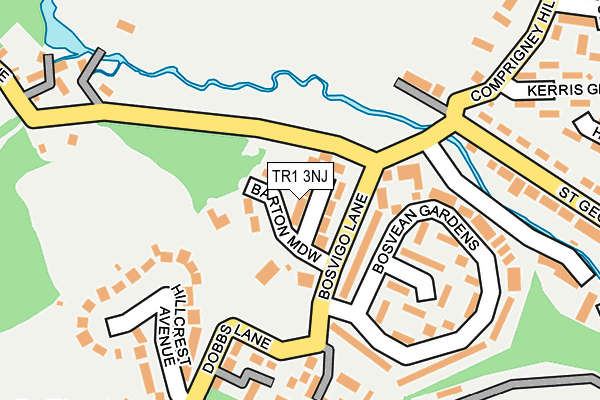 TR1 3NJ map - OS OpenMap – Local (Ordnance Survey)