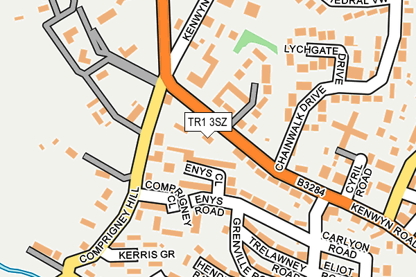 TR1 3SZ map - OS OpenMap – Local (Ordnance Survey)