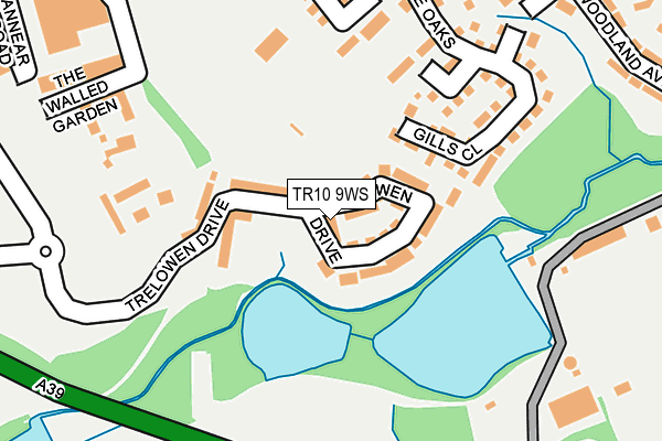 TR10 9WS map - OS OpenMap – Local (Ordnance Survey)