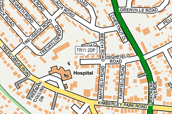 TR11 2DP map - OS OpenMap – Local (Ordnance Survey)