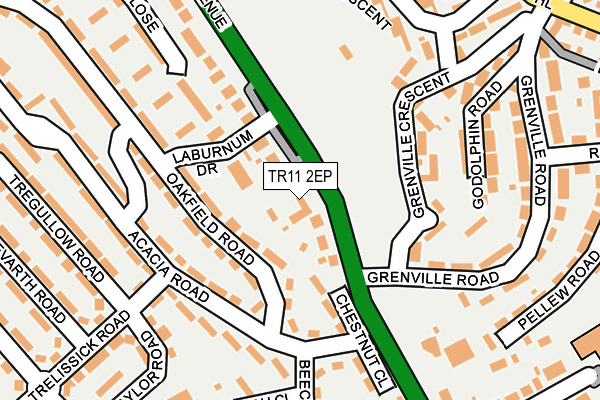 TR11 2EP map - OS OpenMap – Local (Ordnance Survey)
