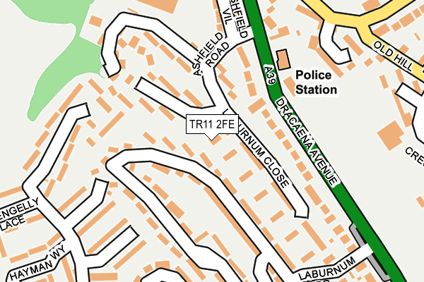 TR11 2FE map - OS OpenMap – Local (Ordnance Survey)