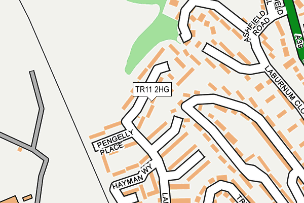 TR11 2HG map - OS OpenMap – Local (Ordnance Survey)