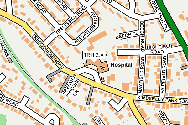 TR11 2JA map - OS OpenMap – Local (Ordnance Survey)