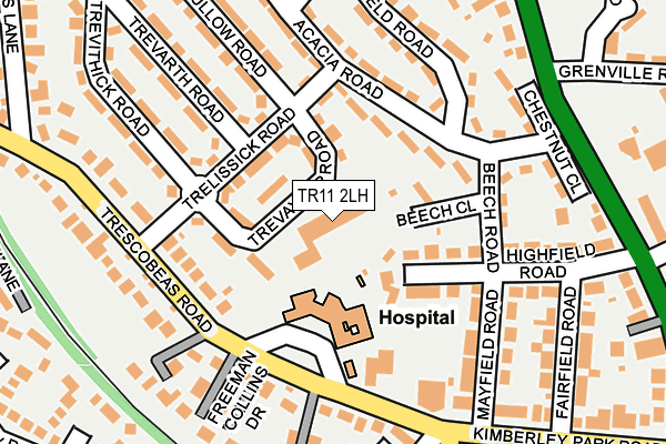 TR11 2LH map - OS OpenMap – Local (Ordnance Survey)