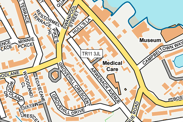 TR11 3JL map - OS OpenMap – Local (Ordnance Survey)