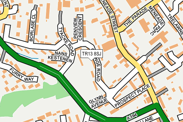 TR13 8SJ map - OS OpenMap – Local (Ordnance Survey)