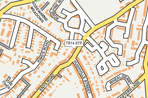 TR14 8TP map - OS OpenMap – Local (Ordnance Survey)
