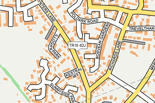 TR16 4DJ map - OS OpenMap – Local (Ordnance Survey)