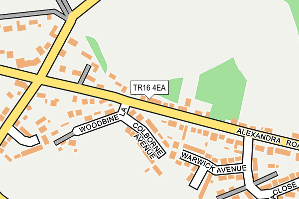 TR16 4EA map - OS OpenMap – Local (Ordnance Survey)