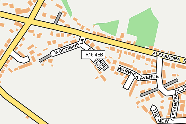 TR16 4EB map - OS OpenMap – Local (Ordnance Survey)