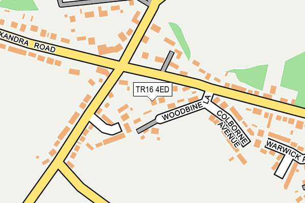 TR16 4ED map - OS OpenMap – Local (Ordnance Survey)