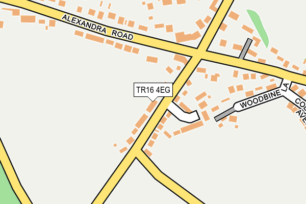 TR16 4EG map - OS OpenMap – Local (Ordnance Survey)