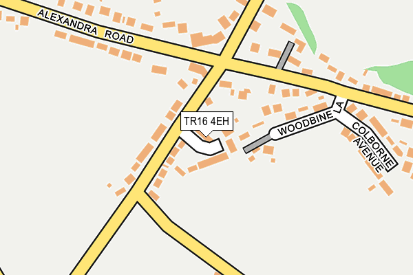TR16 4EH map - OS OpenMap – Local (Ordnance Survey)