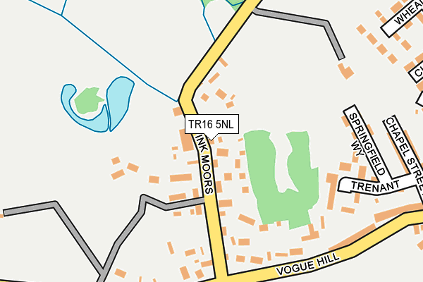 TR16 5NL map - OS OpenMap – Local (Ordnance Survey)