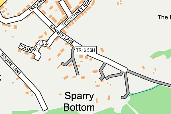 TR16 5SH map - OS OpenMap – Local (Ordnance Survey)
