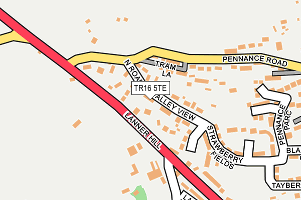 TR16 5TE map - OS OpenMap – Local (Ordnance Survey)