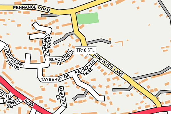 TR16 5TL map - OS OpenMap – Local (Ordnance Survey)