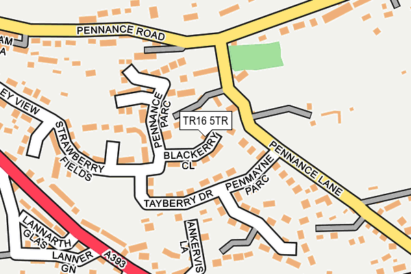 TR16 5TR map - OS OpenMap – Local (Ordnance Survey)