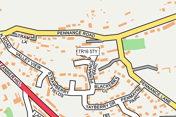 TR16 5TY map - OS OpenMap – Local (Ordnance Survey)