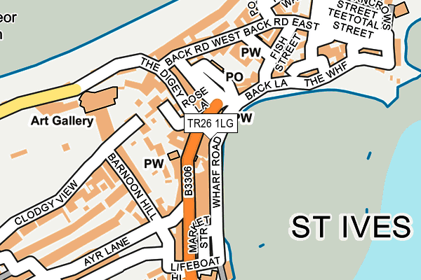 Map of THE ST. IVES CO. CORNWALL LTD at local scale