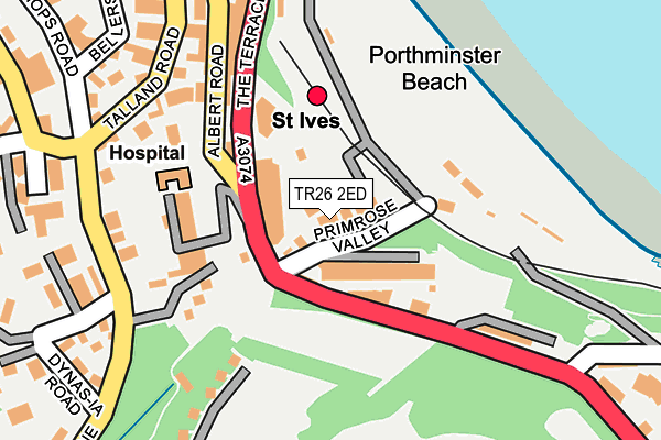 TR26 2ED map - OS OpenMap – Local (Ordnance Survey)