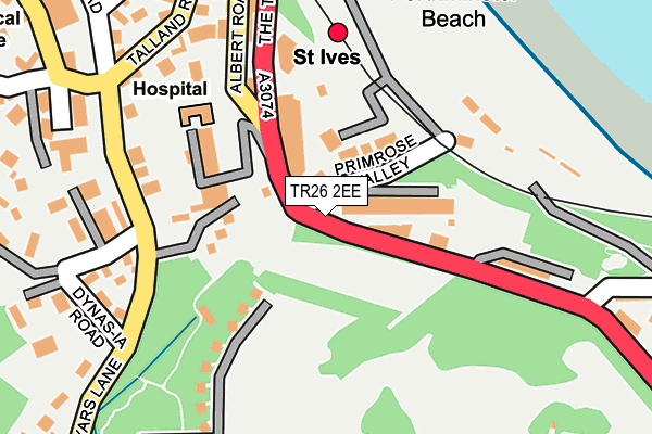 TR26 2EE map - OS OpenMap – Local (Ordnance Survey)