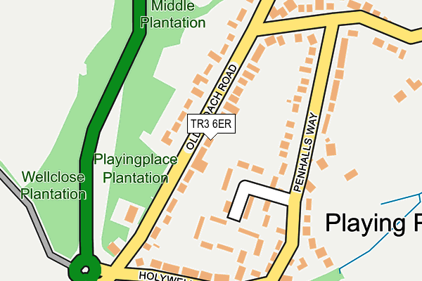 TR3 6ER map - OS OpenMap – Local (Ordnance Survey)