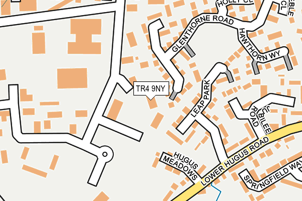 TR4 9NY map - OS OpenMap – Local (Ordnance Survey)