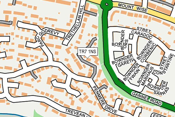 TR7 1NS map - OS OpenMap – Local (Ordnance Survey)