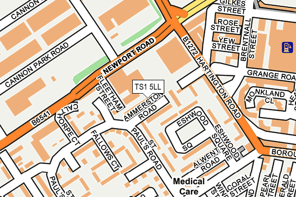TS1 5LL map - OS OpenMap – Local (Ordnance Survey)