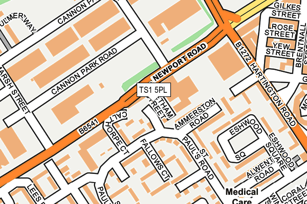 TS1 5PL map - OS OpenMap – Local (Ordnance Survey)