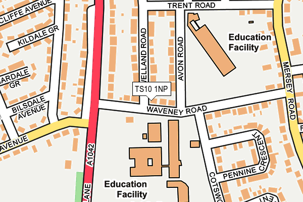 TS10 1NP map - OS OpenMap – Local (Ordnance Survey)