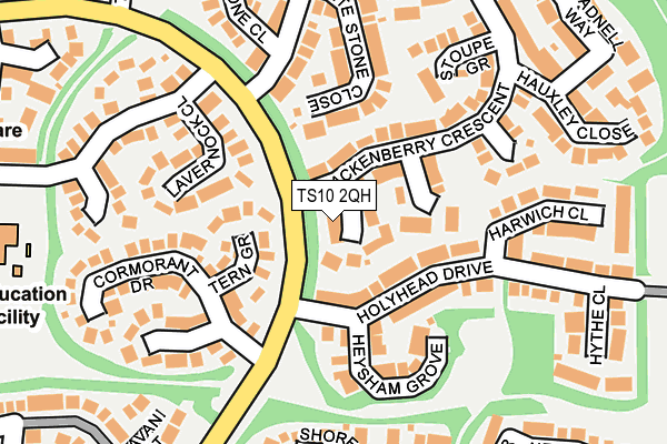 TS10 2QH map - OS OpenMap – Local (Ordnance Survey)
