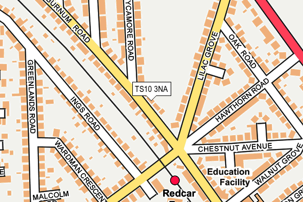 TS10 3NA map - OS OpenMap – Local (Ordnance Survey)