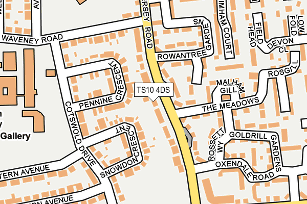 TS10 4DS map - OS OpenMap – Local (Ordnance Survey)