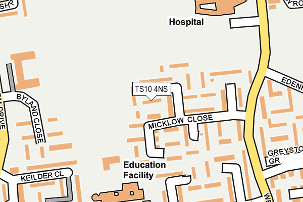 TS10 4NS map - OS OpenMap – Local (Ordnance Survey)
